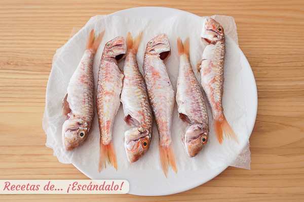 Salmonetes frescos